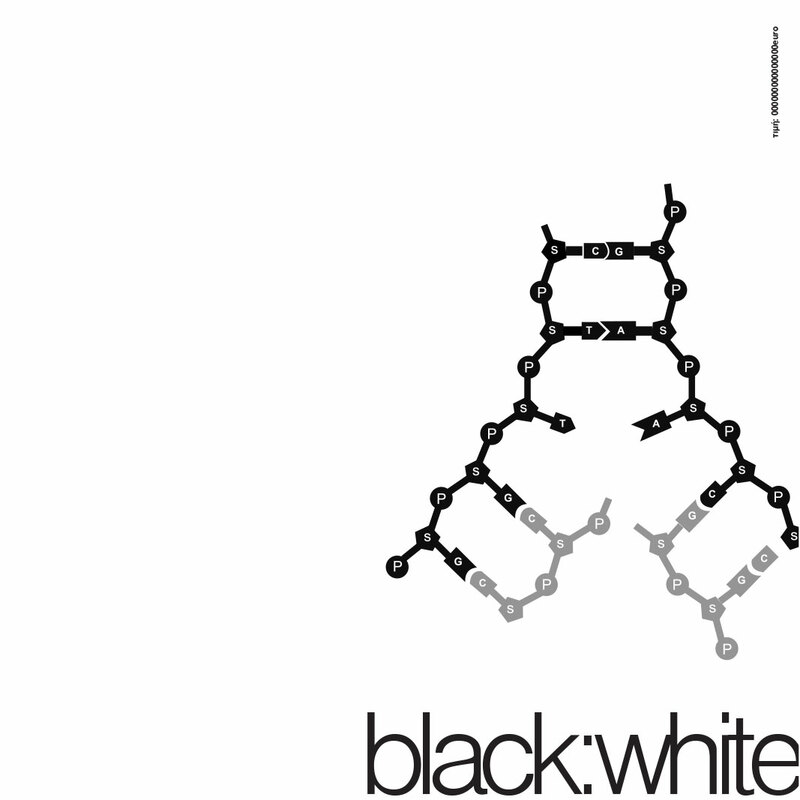 Musa the carnival concert